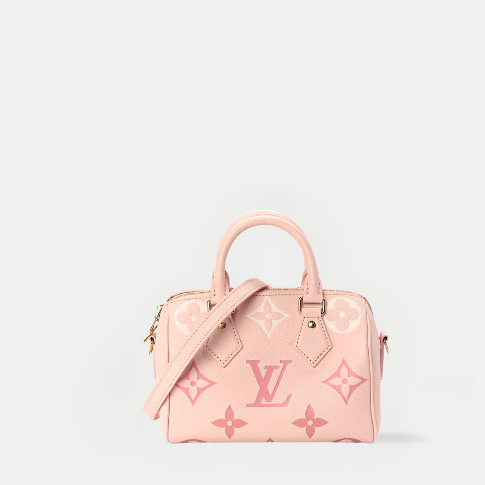 LV Nano Speedy Monogram