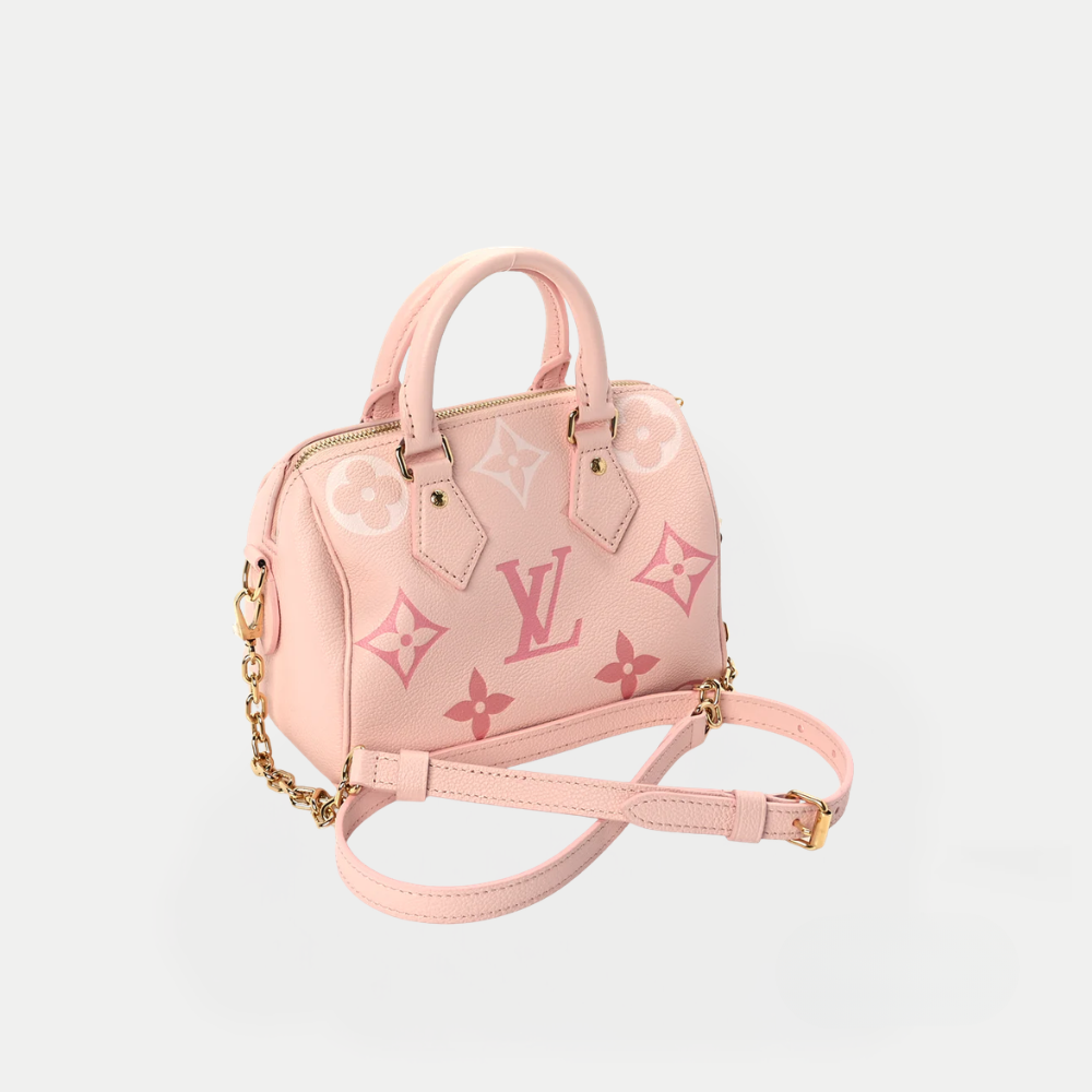 LV Nano Speedy Monogram