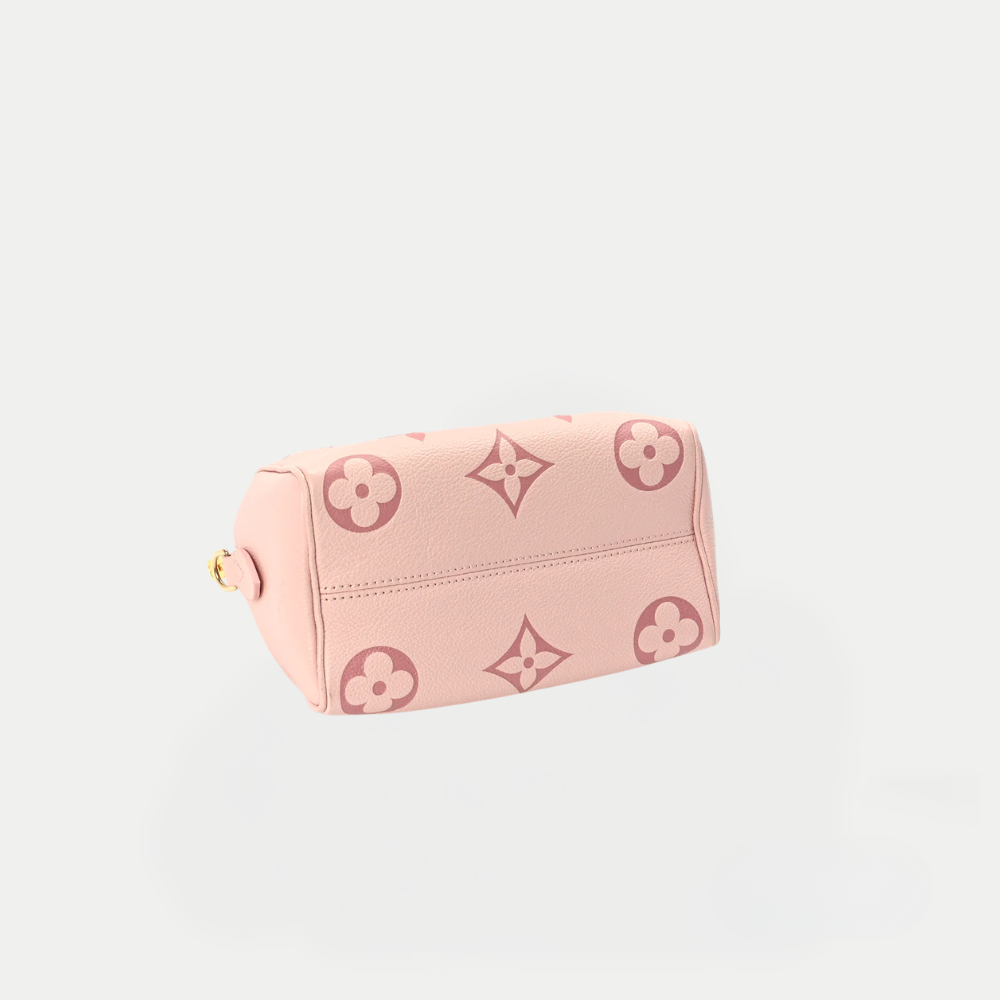LV Nano Speedy Monogram