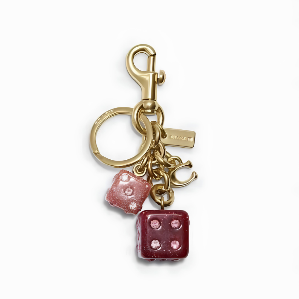 Coach Bag Charms (Gift Box Included)